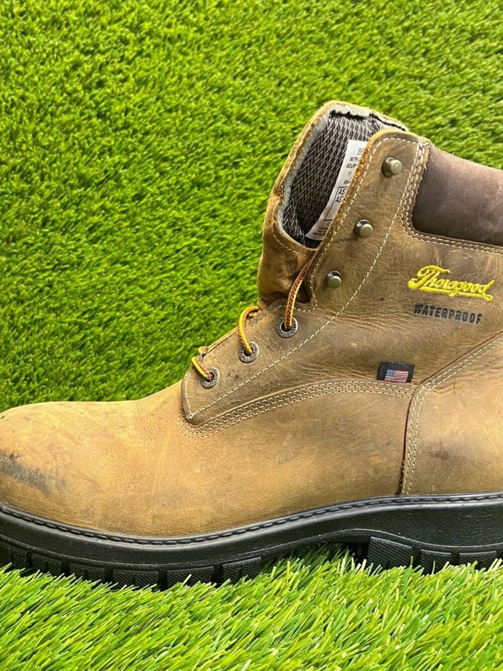 Thorogood Genesis Series 6